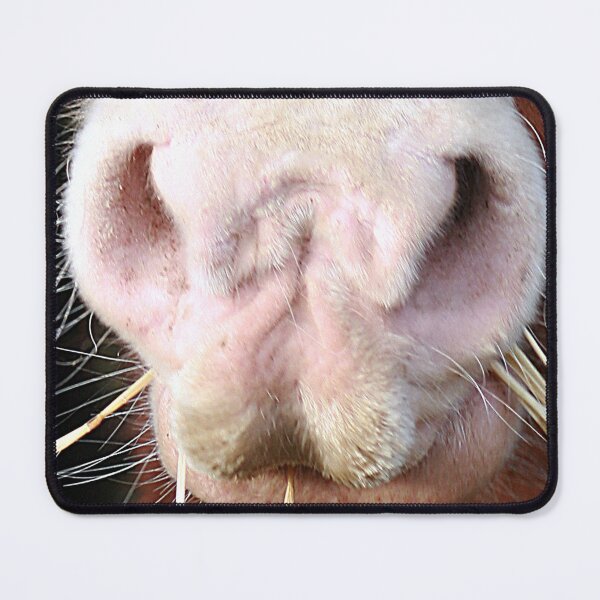 Item preview, Happiness is a Horse designed and sold by Murph's Images.