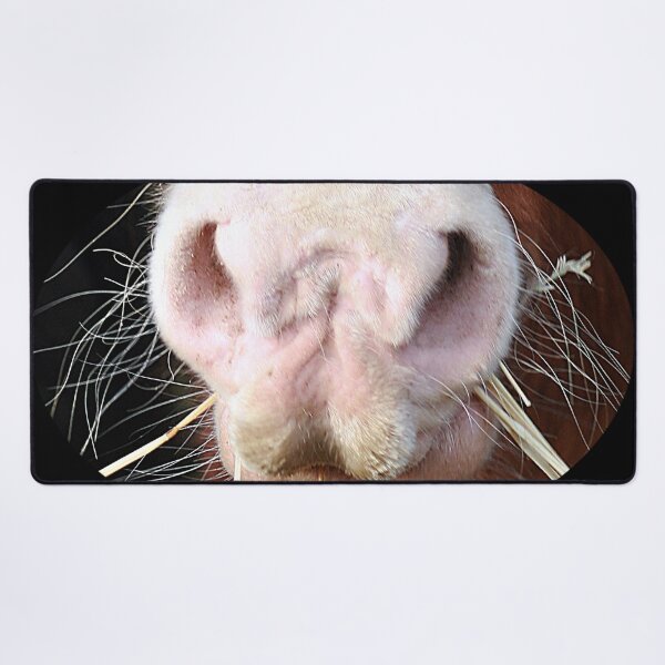 Item preview, Happiness is a Horse designed and sold by Murph's Images.