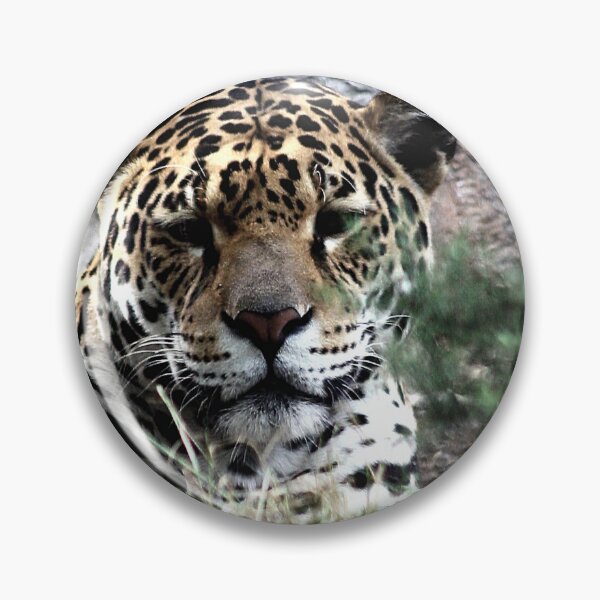 Item preview, I Tawt I Taw a Puddy Tat designed and sold by Murph's Images.