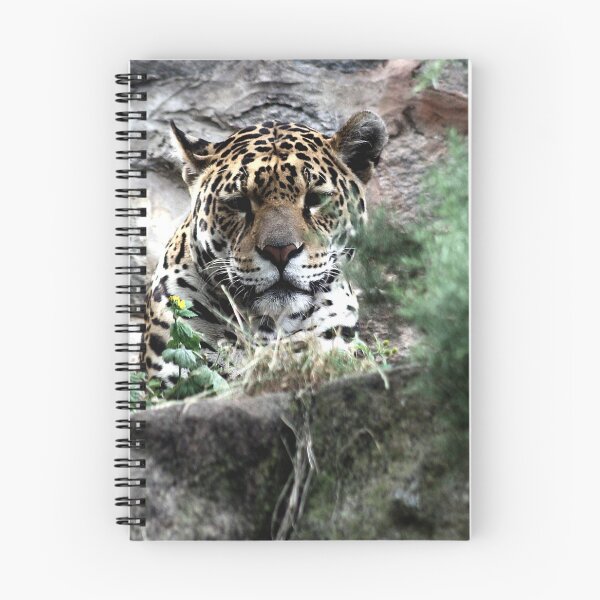 Item preview, I Tawt I Taw a Puddy Tat designed and sold by Murph's Images.