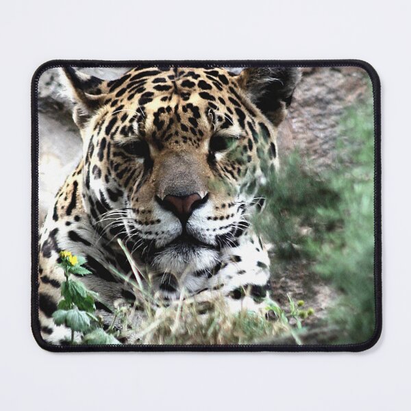 Item preview, I Tawt I Taw a Puddy Tat designed and sold by Murph's Images.