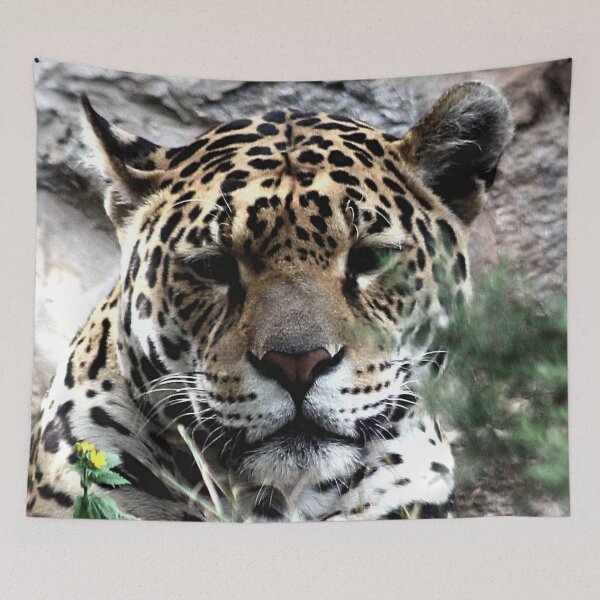 Item preview, I Tawt I Taw a Puddy Tat designed and sold by Murph's Images.