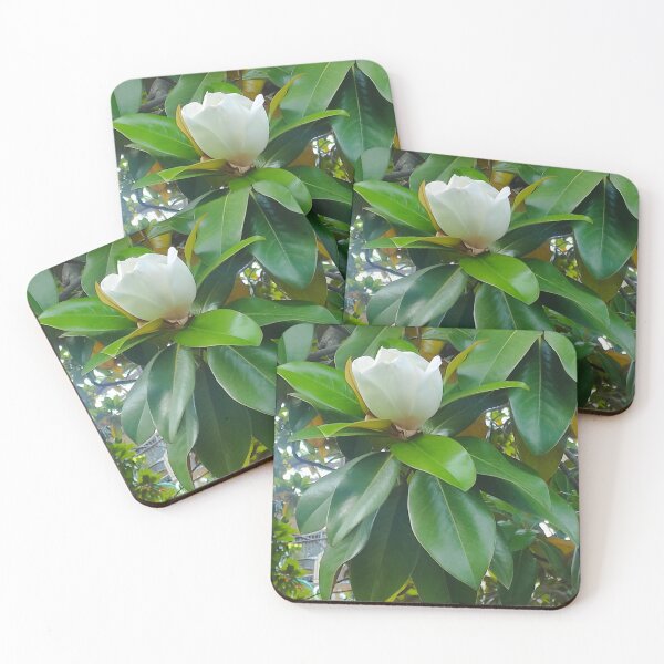 Item preview,  Magnolia Magniflora Bloom  designed and sold by branaghbel.