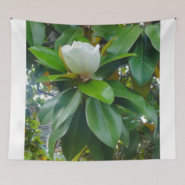 Item preview,  Magnolia Magniflora Bloom  designed and sold by branaghbel.