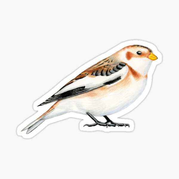 Item preview, Snow Bunting designed and sold by Holly Grogan Art.