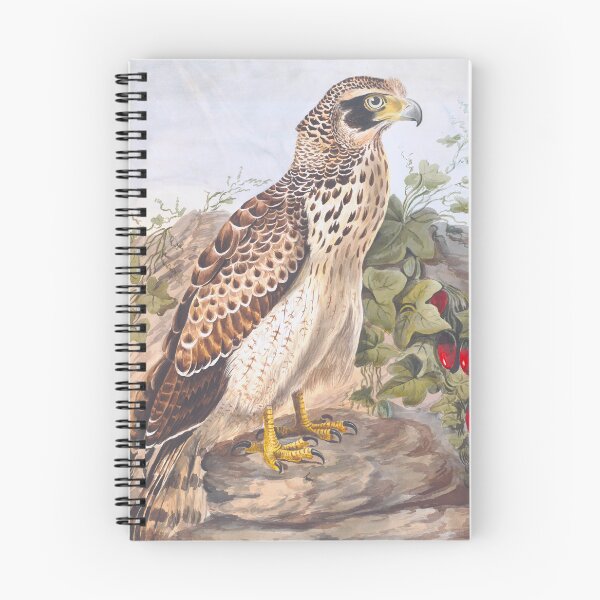 Item preview, Crested Eagle (1801)  designed and sold by 19th Century in Color.