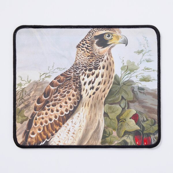Item preview, Crested Eagle (1801) designed and sold by 19th Century in Color.