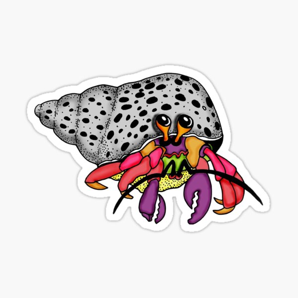 CARIBBEAN HERMIT (COBITO) CRAB Sticker
