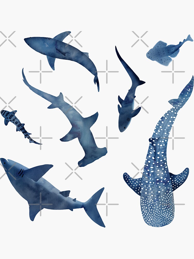 Monochrome blue watercolour shark ocean on black | iPhone Case