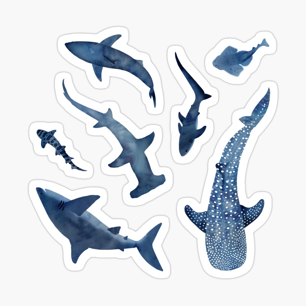 Whale shark! iPhone Case