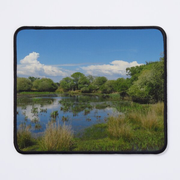 Item preview, Nature Reserve, Studland, Dorset designed and sold by wiggyofipswich.