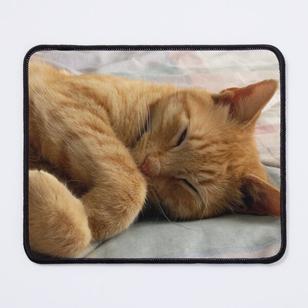Item preview, Ginger Cat Sleeping designed and sold by Frankie Cat Photography.