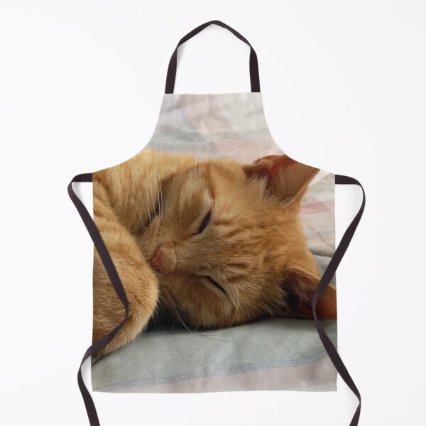 Item preview, Ginger Cat Sleeping designed and sold by Frankie Cat Photography.