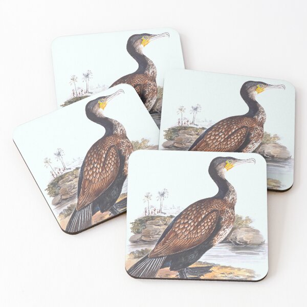 Item preview, Cormorant (1801) designed and sold by 19th Century in Color.