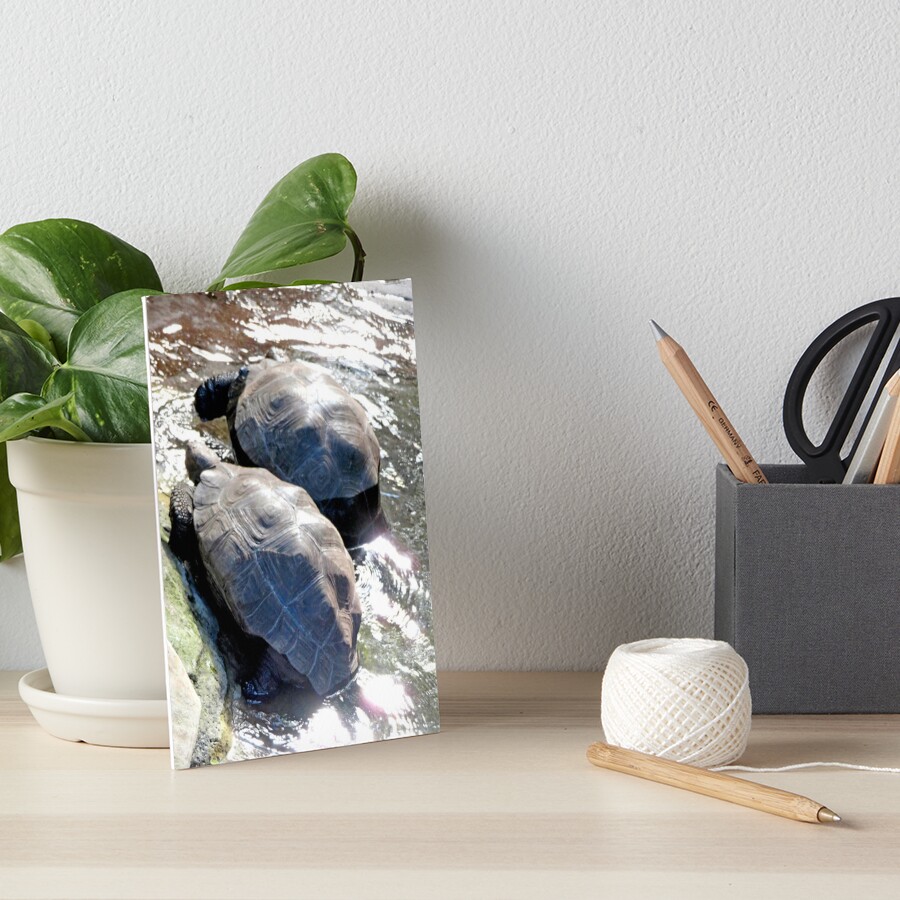 Item preview, Art Board Print designed and sold by ShutterbugBttns.