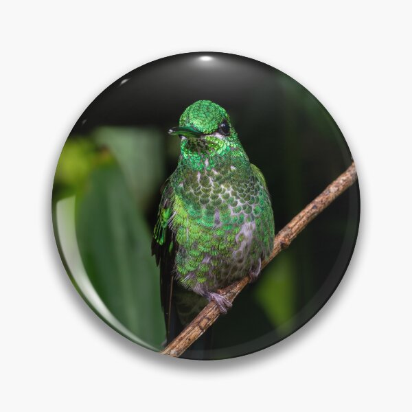 Item preview, Tropical Glow: Green Hummingbird of the Costa Rican Jungle designed and sold by John-Erna.