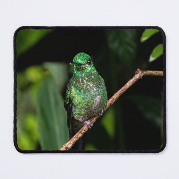 Item preview, Tropical Glow: Green Hummingbird of the Costa Rican Jungle designed and sold by John-Erna.