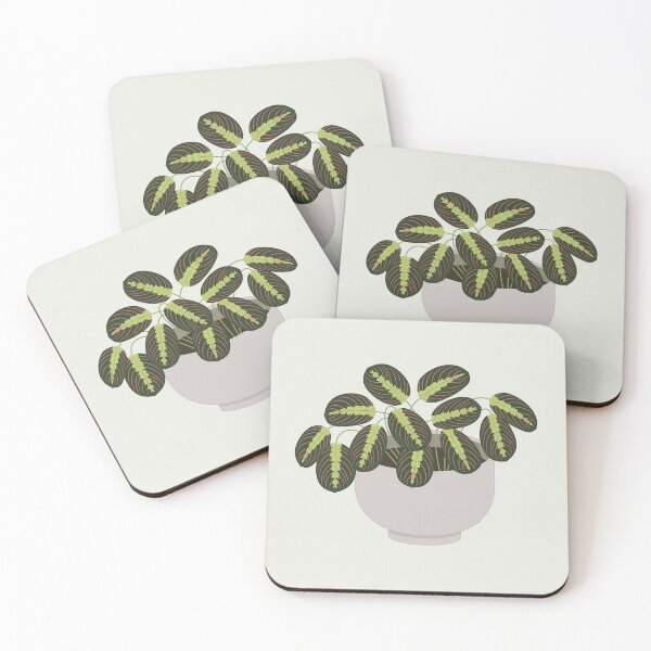 Item preview, Prayer Plant designed and sold by kidoma.