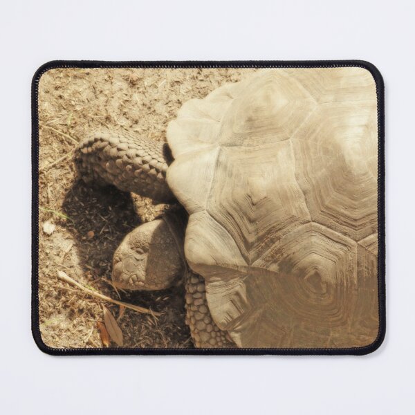 Item preview, Tortoise designed and sold by ShutterbugBttns.