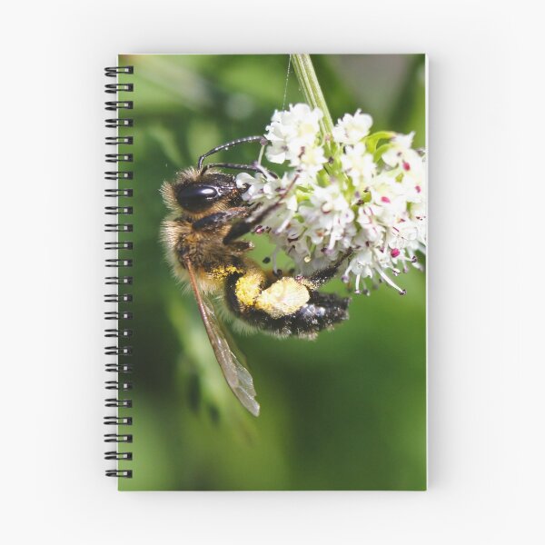Item preview, Leafcutter bee designed and sold by GreyFeatherPhot.