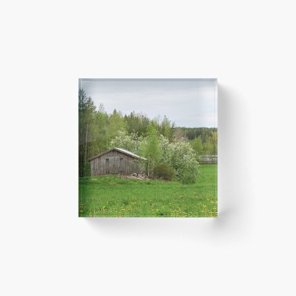 Item preview, Barn and the bird cherry trees. Parkkuu 2025 designed and sold by Jouko Lehto Photography.