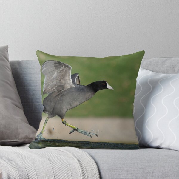 Item preview, Coot Dance designed and sold by George I. Davidson.