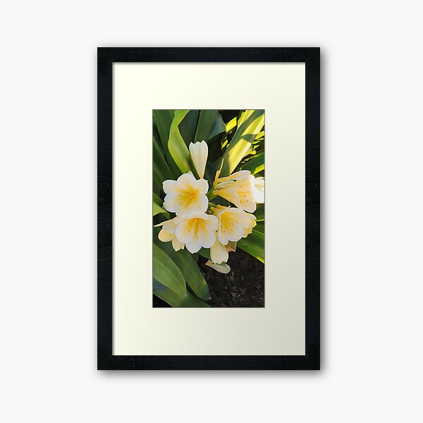 Item preview, Flowers at Longwood Gardens, PA designed and sold by Mimi's Place.