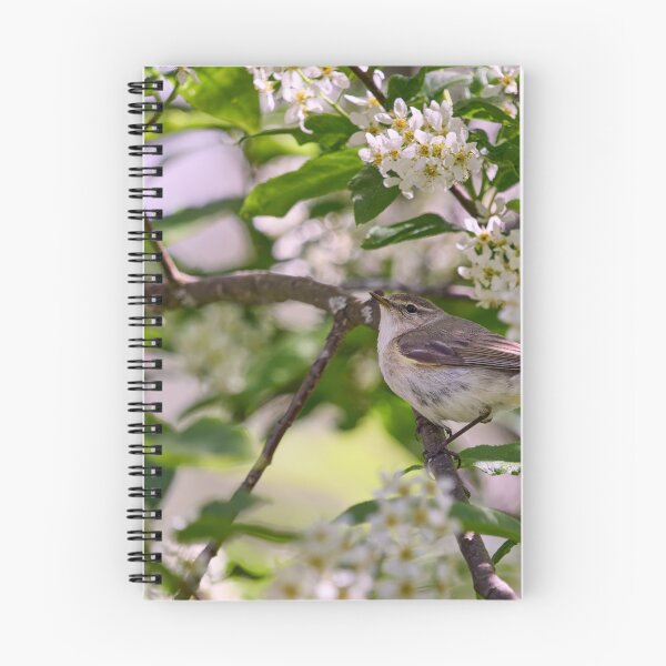 Item preview, All those flowers. Willow Warbler in Bird Cherry tree designed and sold by Jouko Lehto Photography.