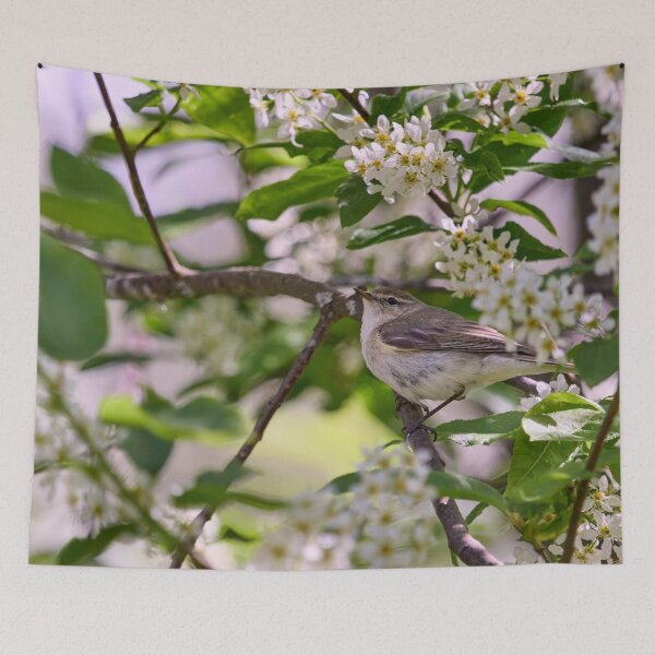 Item preview, All those flowers. Willow Warbler in Bird Cherry tree designed and sold by Jouko Lehto Photography.