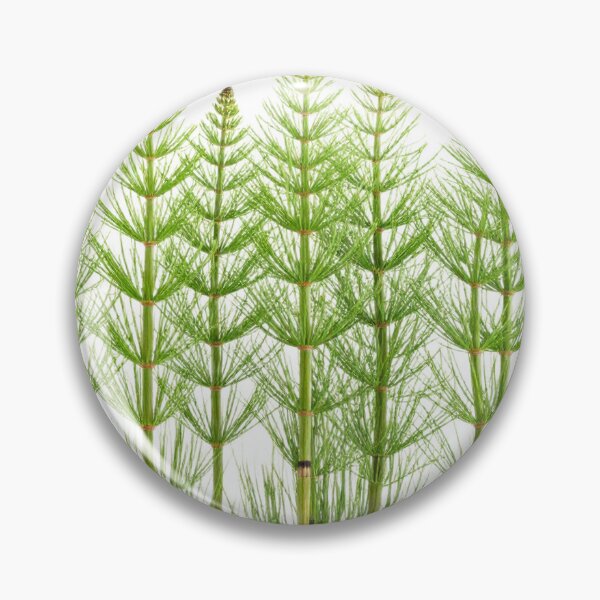 Item preview, Minimal Horsetail designed and sold by Simple Nature Studio.