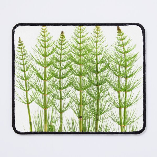 Item preview, Minimal Horsetail designed and sold by Simple Nature Studio.