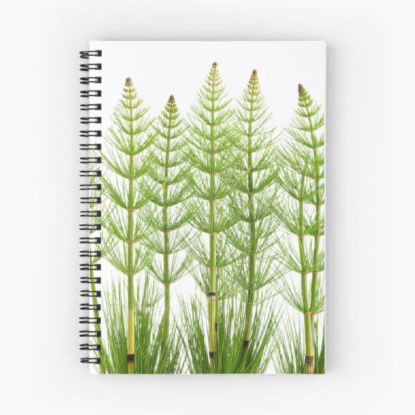 Item preview, Minimal Horsetail designed and sold by Simple Nature Studio.
