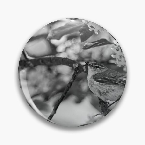 Item preview, All those flowers. Willow Warbler in Bird Cherry tree bw designed and sold by Jouko Lehto Photography.