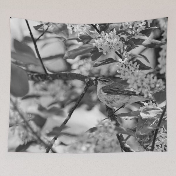 Item preview, All those flowers. Willow Warbler in Bird Cherry tree bw designed and sold by Jouko Lehto Photography.