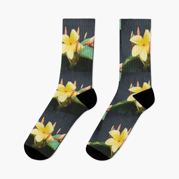 Artikelvorschau, Plumeria Frangipani Hawaii Blume X152 entworfen und verkauft von RichFrancoCars.