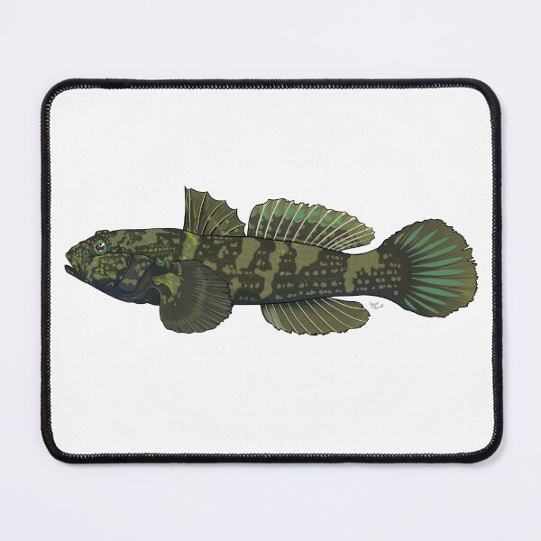 Item preview, Frillfin Goby  designed and sold by Scrub and Sea.