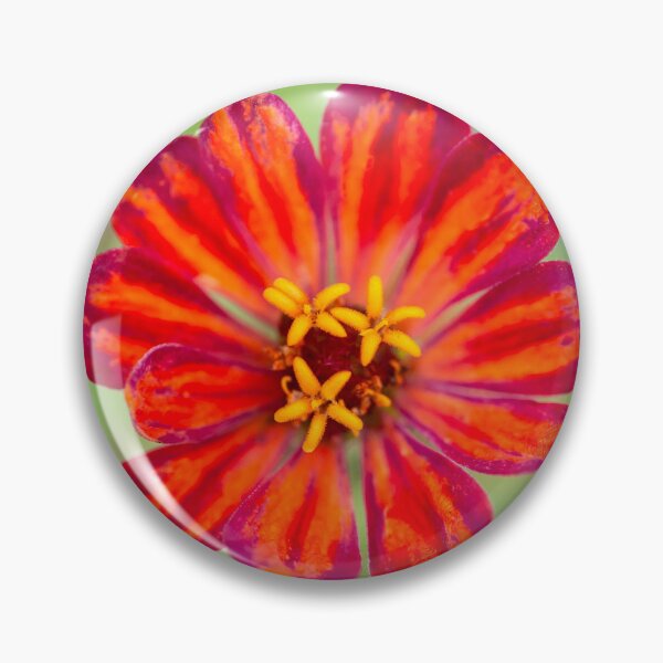 Item preview, Red Zinnias Elegans X100 designed and sold by RichFrancoCars.