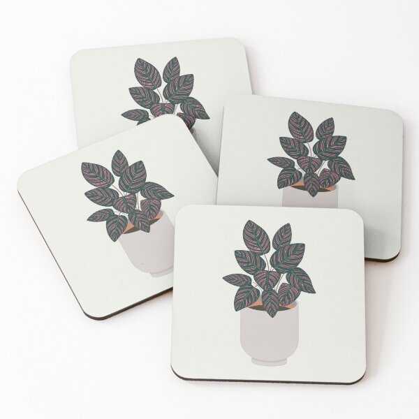 Item preview, Calathea Ornata Sanderiana designed and sold by kidoma.