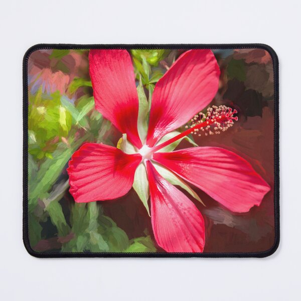 Item preview,  Star of Texas Swamp Hibiscus Bloom X113 designed and sold by RichFrancoCars.