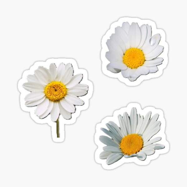 Item preview, daisies designed and sold by Kawaii-Cuteness.