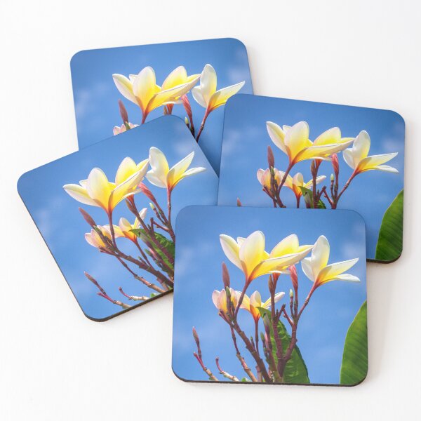 Artikelvorschau, Plumeria Frangipani Hawaii Blume X100 entworfen und verkauft von RichFrancoCars.