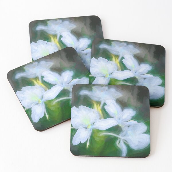 Artikelvorschau, Weiße Ingwerblüten H Coronarium X100 entworfen und verkauft von RichFrancoCars.