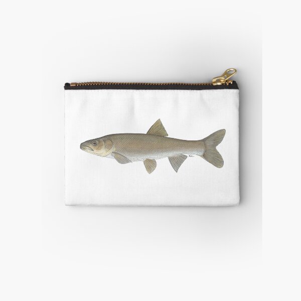 Item preview, Colorado Pikeminnow (Ptychocheilus lucius) designed and sold by LeakyCanoeArt.