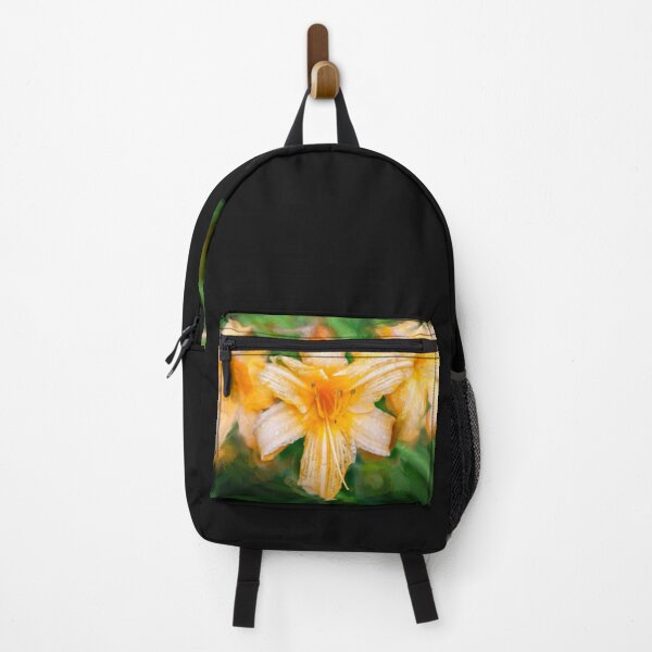Item preview, Daylily Hemerocallis Stella de Oro X100 designed and sold by RichFrancoCars.