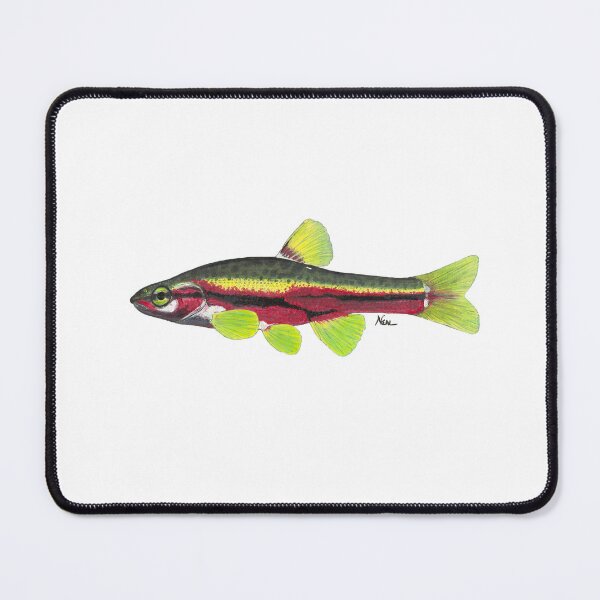 Item preview, Dace de Tennessee (Chrosomus tennesseensis) designed and sold by LeakyCanoeArt.