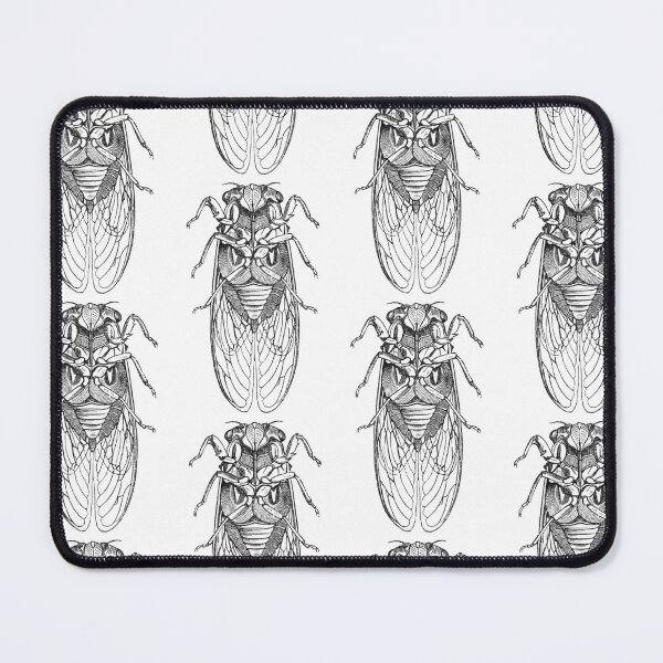 Item preview, Cicada Illustration, Entomology Illustration designed and sold by HawthorneFlame.