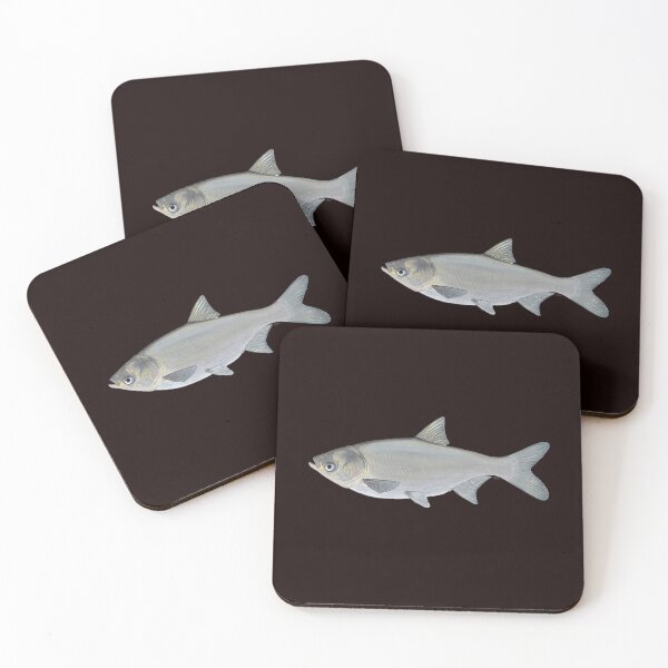 Item preview, Carpa plateada (Hypophthalmichthys molitrix) designed and sold by LeakyCanoeArt.
