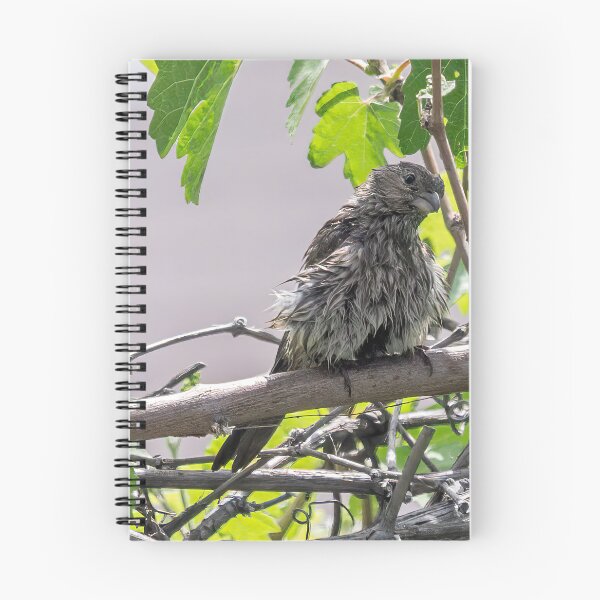 Item preview, Wet Finch and Lizard designed and sold by CarolM.