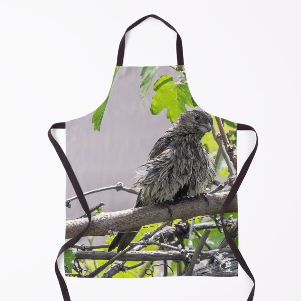 Item preview, Wet Finch and Lizard designed and sold by CarolM.