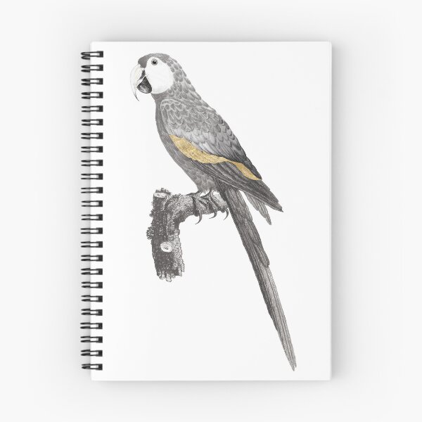 Item preview, Illustration de Perroquet PNG – Élément d’Oiseau sur Fond Transparent designed and sold by MagicCreationsW.
